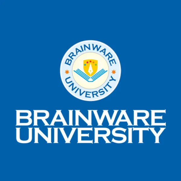 University 11
